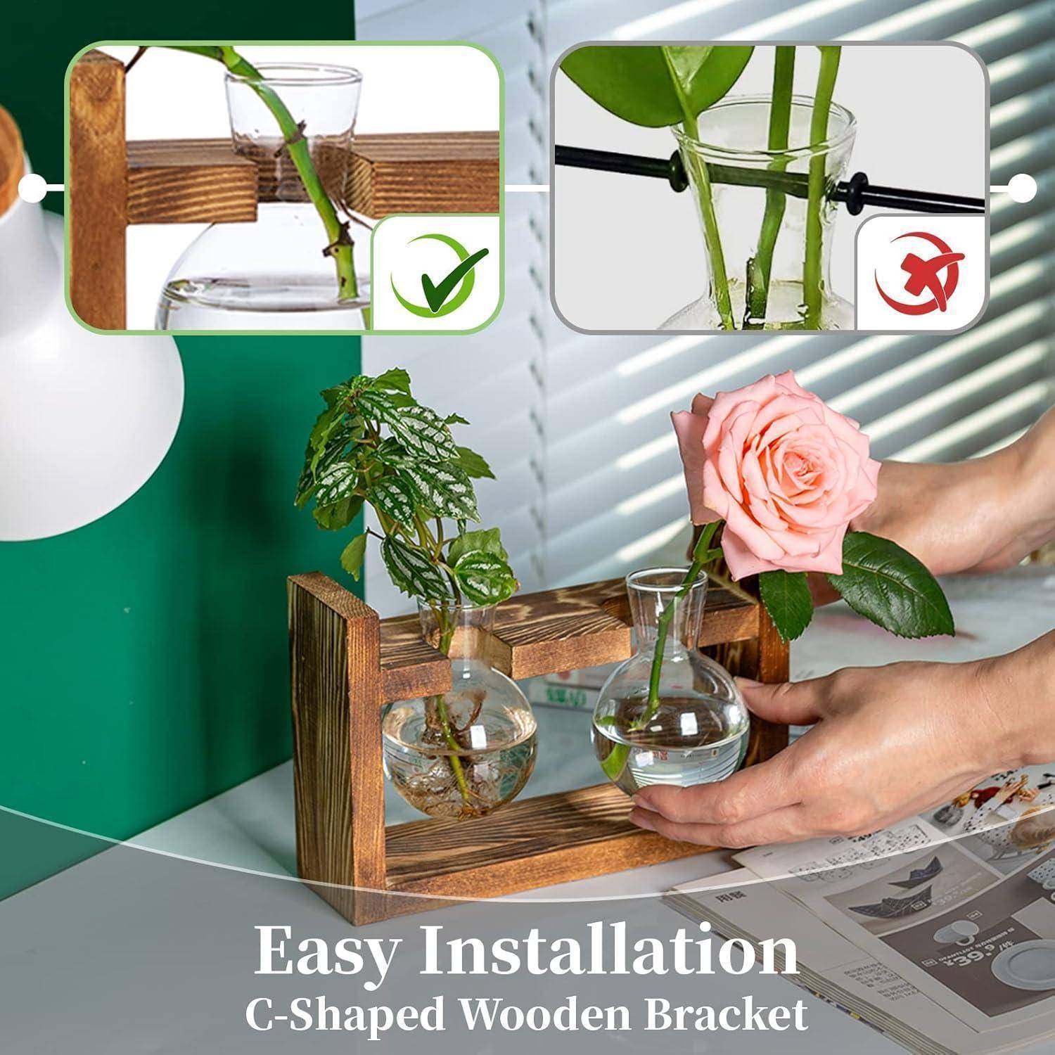 Elegante Glasterrarien an einem Holzhalter mit Pflanzen. Einblendungen zeigen Installationsschritte mit einem grünen Häkchen für Erfolg und einem roten X für Fehler.