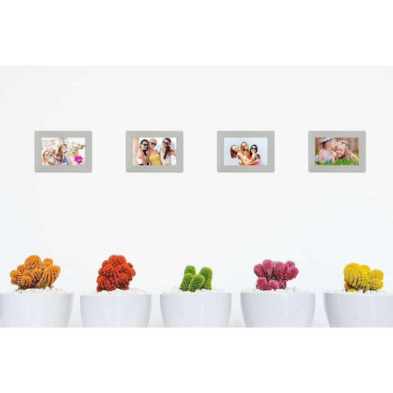 Gerahmte Familienfotos hängen über bunten Topfpflanzen an einer weißen Wand und zeigen fröhliche Momente sowie lebendige Dekoration.