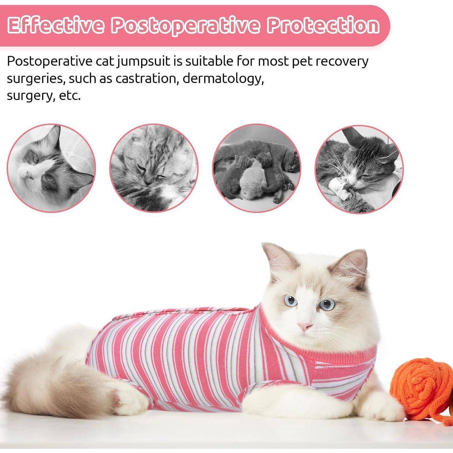 Eine weiße Katze in einem rosa-gestreiften Einteiler, der zum postoperativen Schutz entwickelt wurde, ruht auf einem Bett. Kleinere Bilder zeigen Katzen in ähnlichen Outfits.