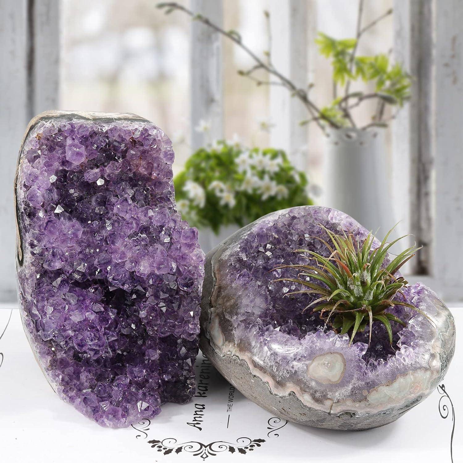 Zwei Amethystgeoden mit rauer, funkelnder Oberfläche; eine davon beherbergt eine kleine grüne Pflanze. Sie sind auf einer weißen Oberfläche neben einem Fenster platziert.