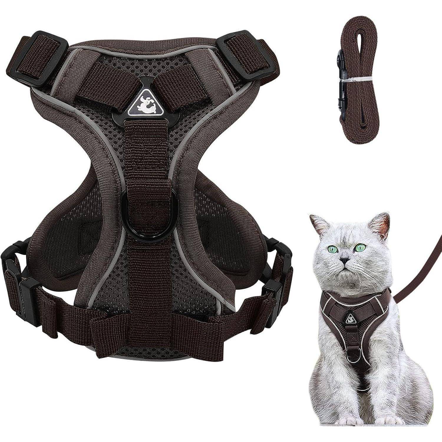 Katze mit einem braunen Geschirr, an dem eine passende Leine befestigt ist, neben einer Detailaufnahme des Geschirrs selbst, die die verstellbaren Riemen und die Schnalle zeigt.