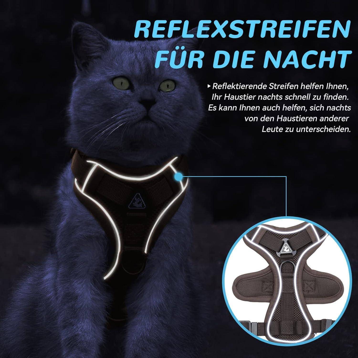 Eine Katze mit einem reflektierenden Geschirr mit leuchtenden Streifen bei Nacht. Text lautet: 