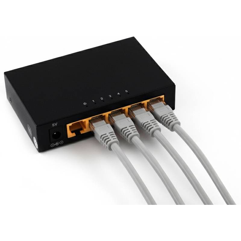 Ein schwarzer Netzwerkswitch mit vier Ethernet-Kabeln, von 1 bis 5 beschriftet. Eine Stromeingangsanschluss an der Seite zeigt einen 5V-Gleichstrom-Eingang an.
