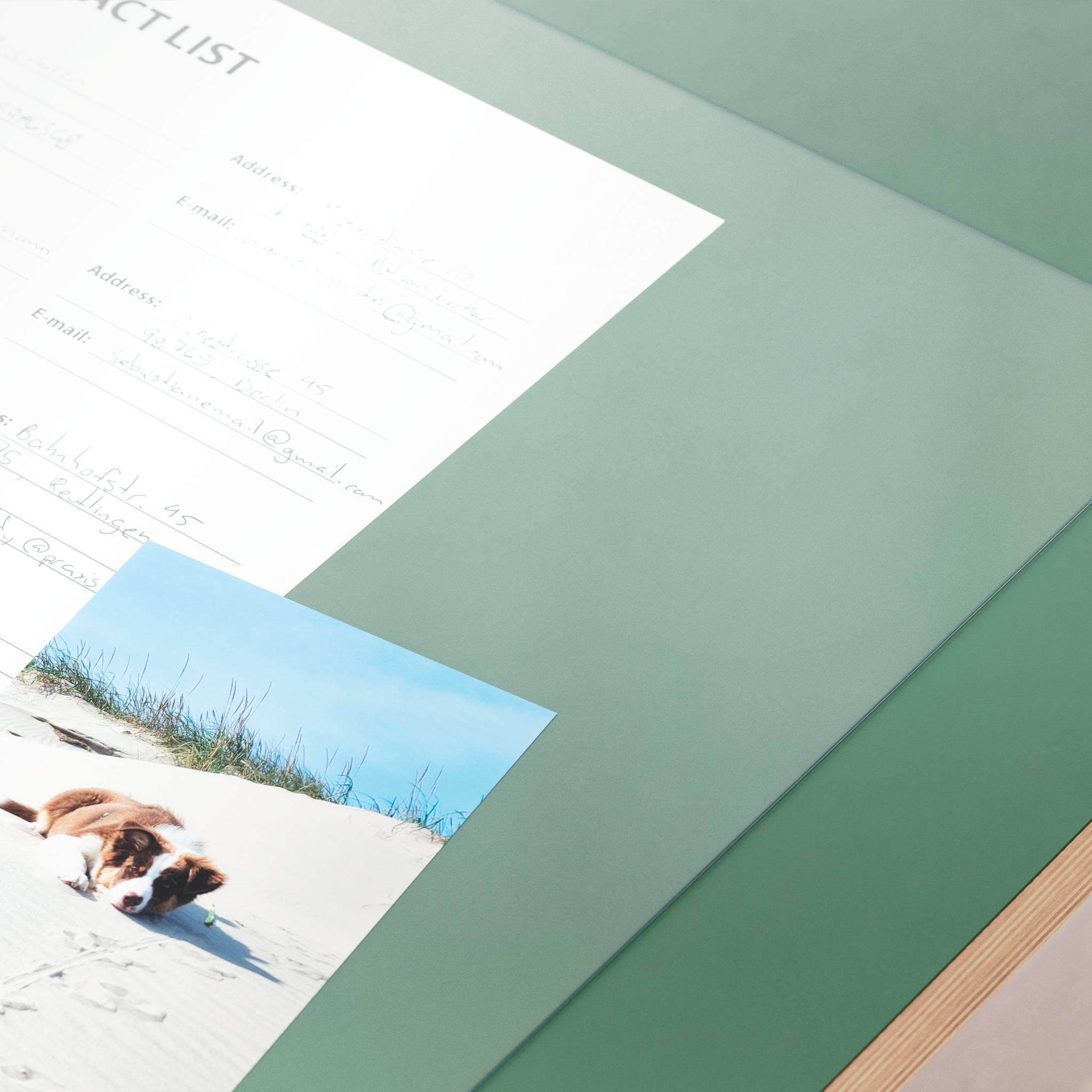 Nahaufnahme eines grünen Ordners mit einem Kontaktlistenblatt und einem kleinen Strandfoto eines Hundes auf Sand mit blauem Himmel.