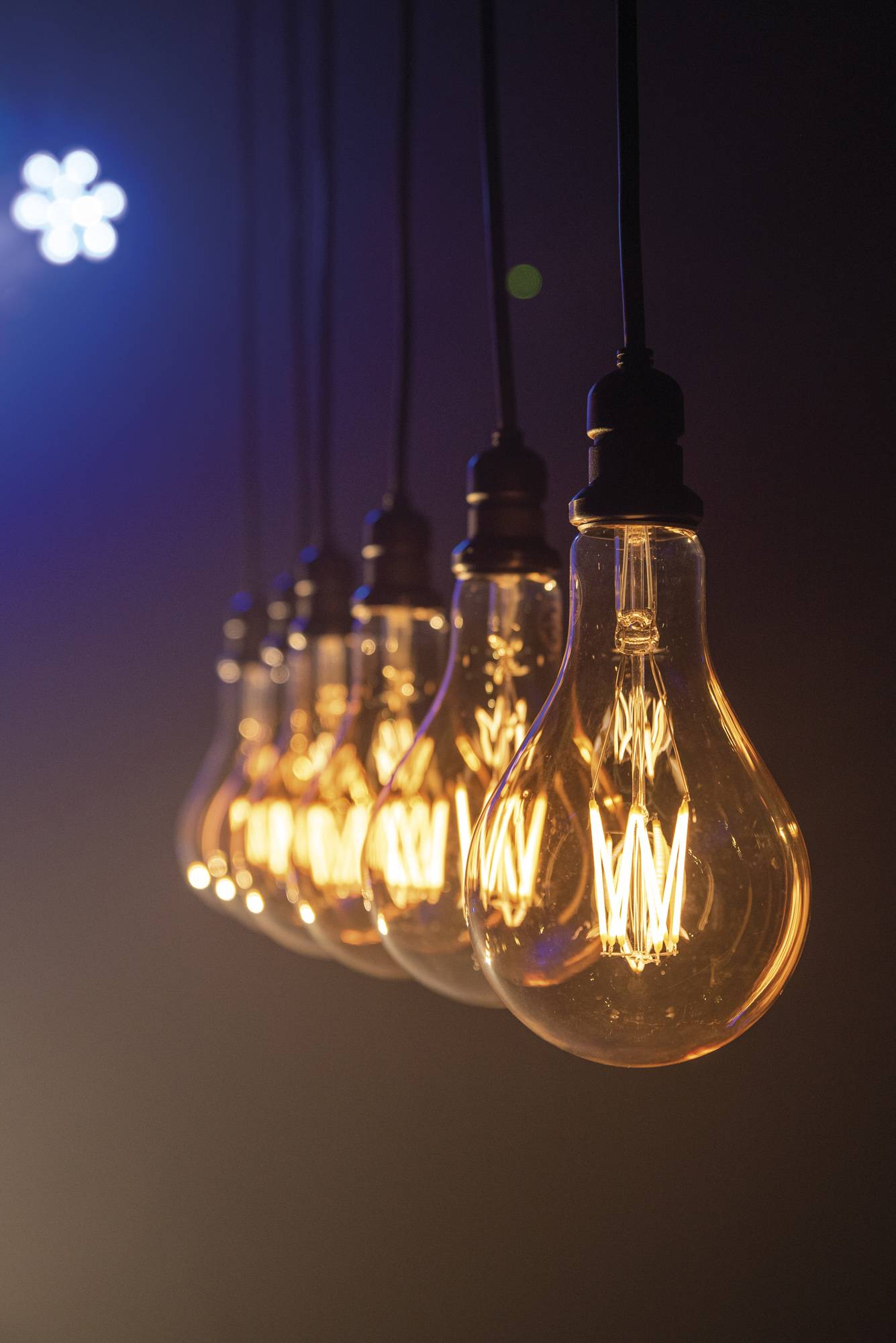 Nahaufnahme einer Reihe von Glühbirnen im Vintage-Stil mit sichtbaren Glühfäden, die in einer dämmrigen Umgebung warm leuchten.