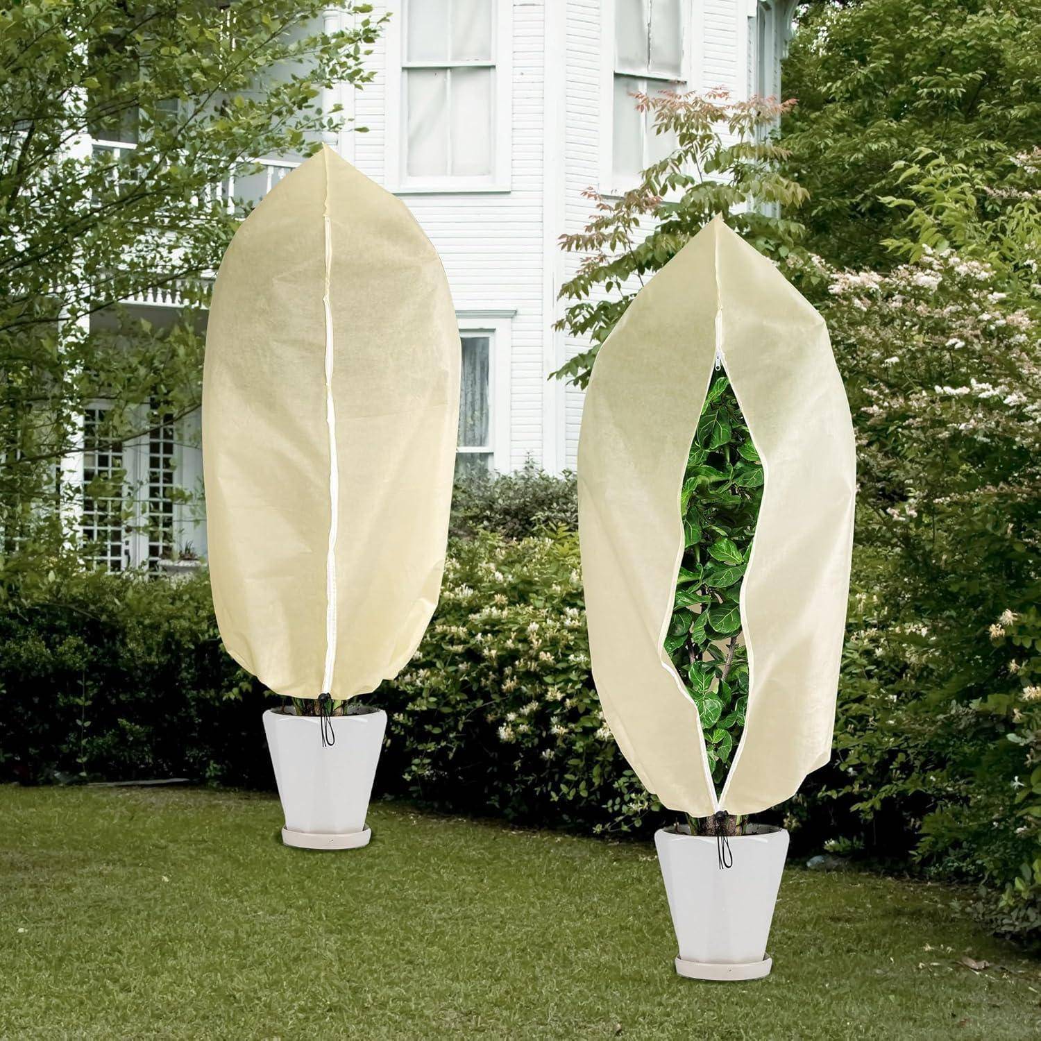 Zwei in Schutzvlies gehüllte Topfbäume in einem Garten, vor einem weißen Gebäude mit großen Fenstern, umgeben von Grün.