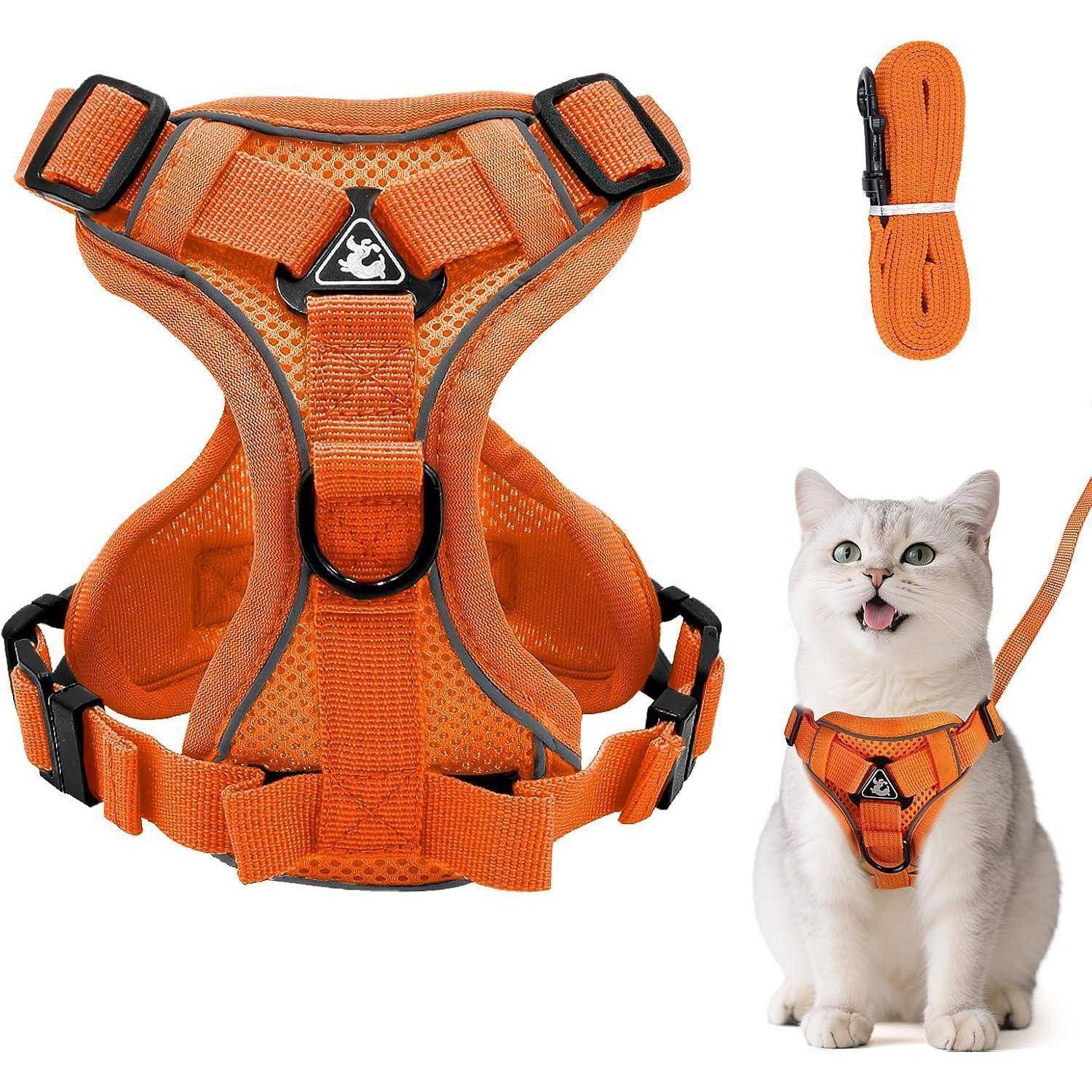 Eine orangefarbene Geschirr-Set mit einer Leine an einer weißen Katze. Das Geschirr verfügt über verstellbare Riemen und ein kleines Logo auf der Brust.