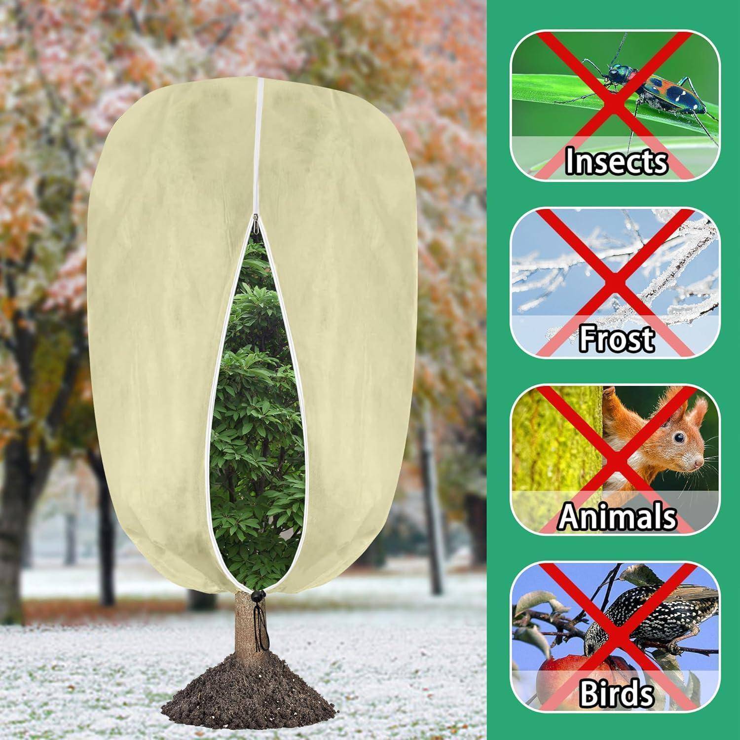 Ein Baum in einer Schutzabdeckung; Seitenbilder zeigen Verbote: Insekten, Frost, Tiere, Vögel, die den Schutz vor diesen Elementen anzeigen.