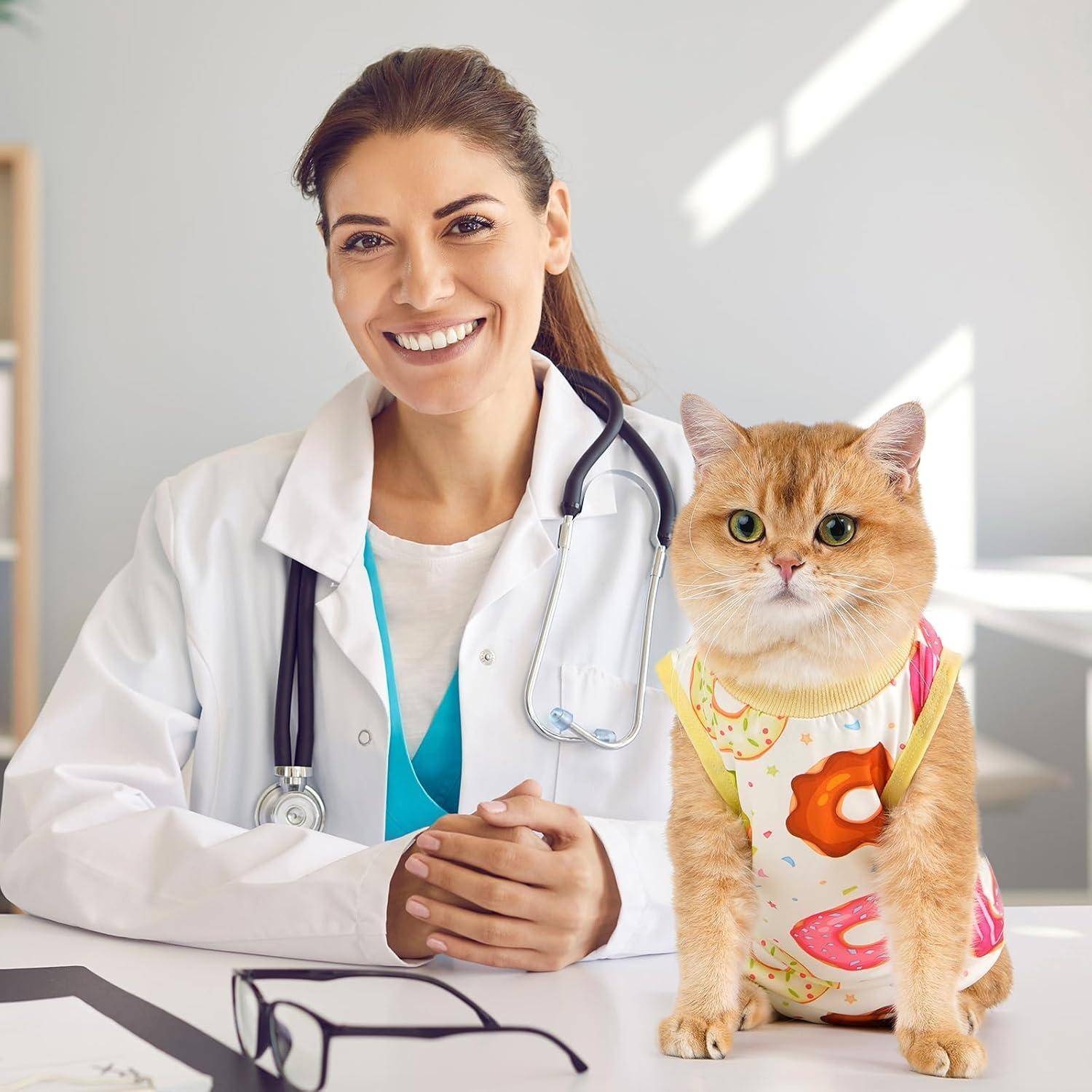 Ein Arzt mit einem Stethoskop lächelt, während er neben einer Katze sitzt, die ein buntes Outfit mit Donutmuster trägt.