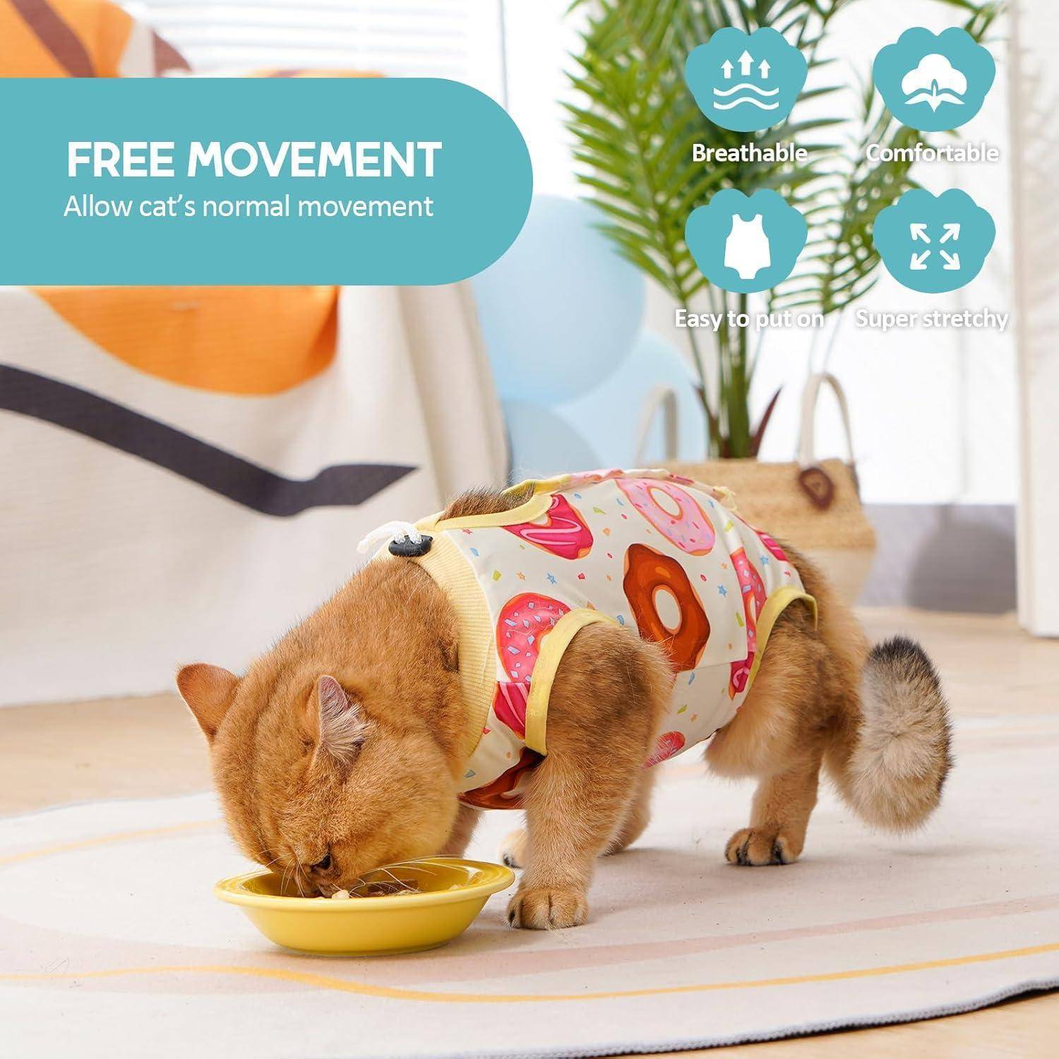 Katze in bunter Weste frisst aus gelber Schüssel in Innenräumen, mit einer Sprechblase 