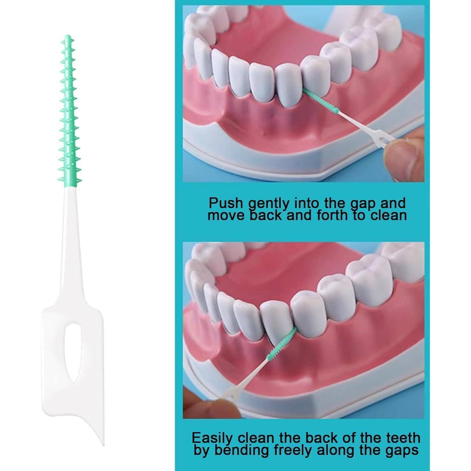 Demonstration der Interdentalbürste: Das Bild zeigt eine grüne Interdentalbürste, die Zahnmodelle reinigt und dabei eine sanfte Hin-und-Her-Bewegung betont.