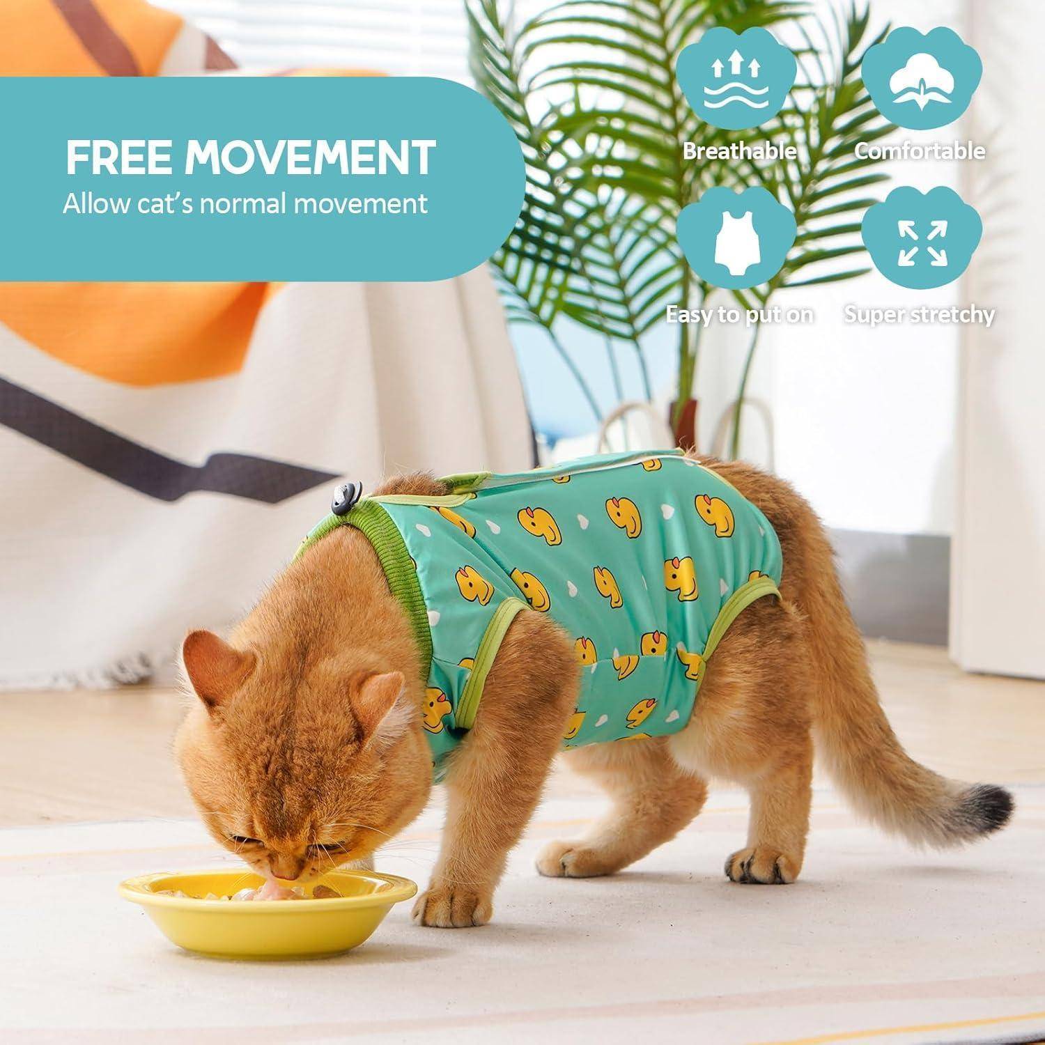 Eine Katze trägt ein Outfit mit Entenmustern und frisst aus einer Schüssel. Text lautet: 