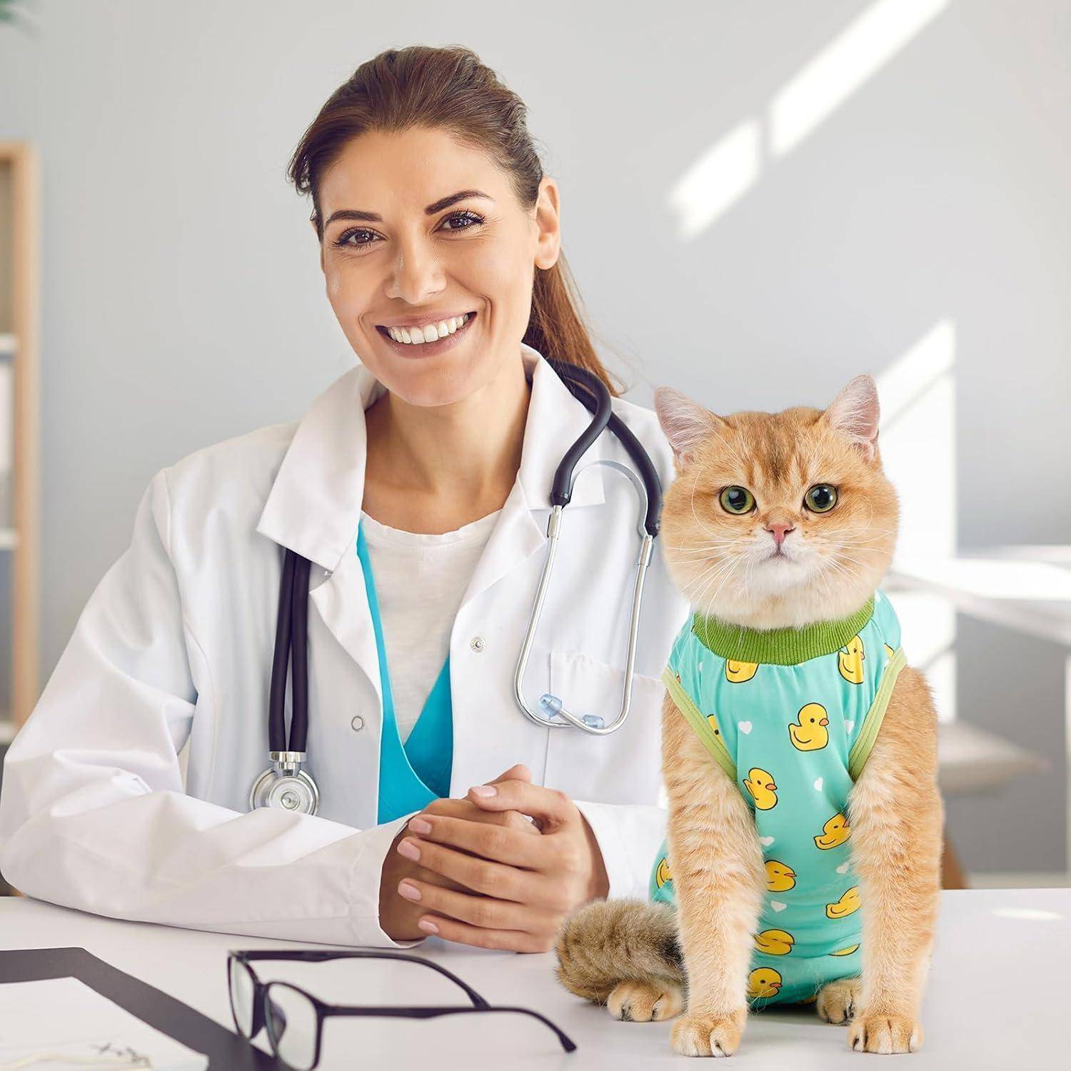 Eine Tierärztin lächelt, während eine Katze, die ein Entenkostüm trägt, neben ihr auf einem Schreibtisch in einem hellen Büro sitzt.