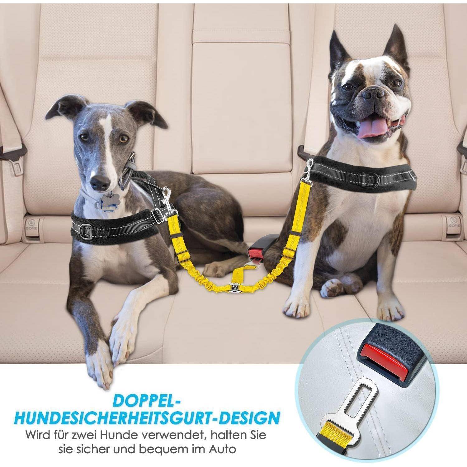 Zwei Hunde sind mit einem Doppel-Hundegurt auf der Rückbank eines Autos angeschirrt und gesichert. Der Text betont die Sicherheit und Bequemlichkeit des Designs.