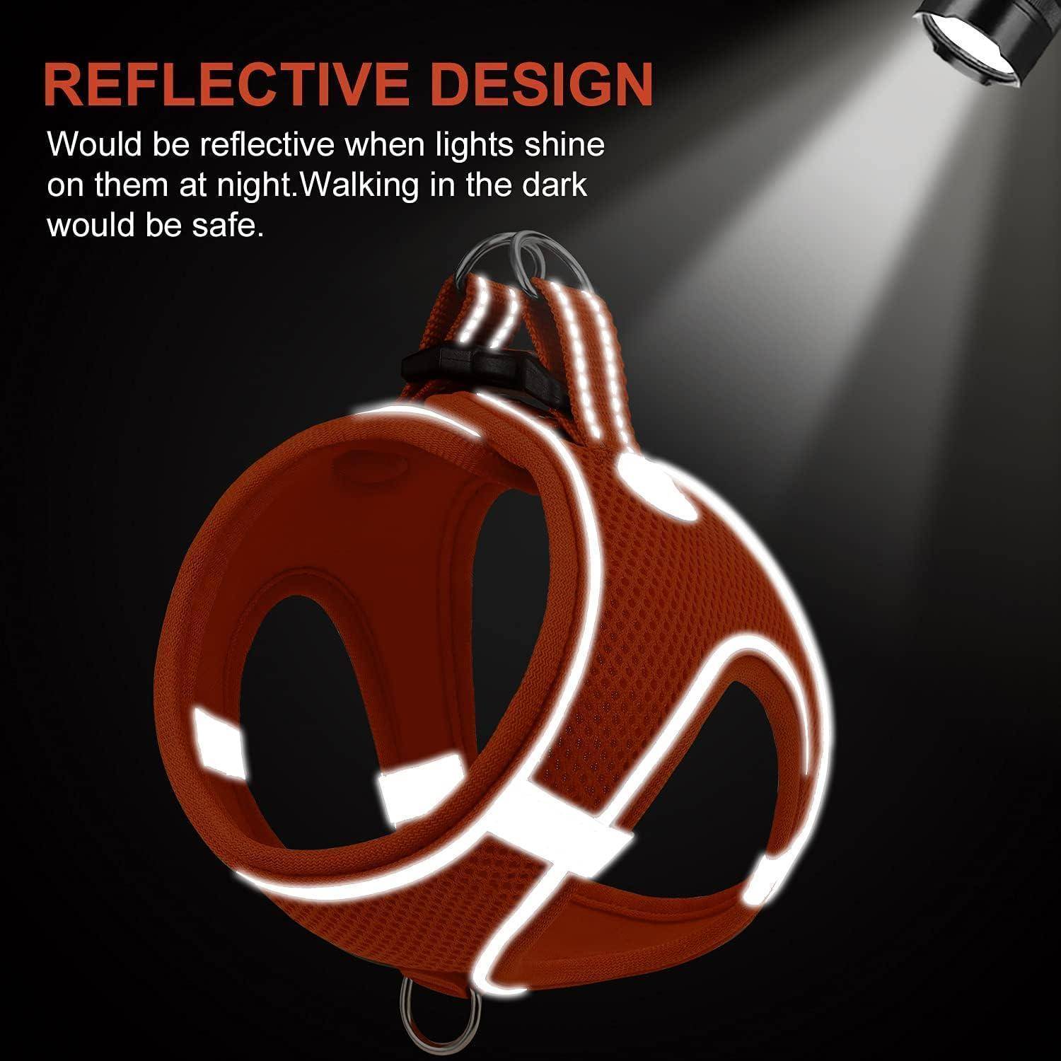 Ein Hundehalsband mit reflektierendem Design, das unter einem Scheinwerfer bei Nacht leuchtet. Text lautet: 'Reflektierendes Design würde reflektieren, wenn Lichter bei Nacht darauf scheinen. Das Gehen im Dunkeln wäre sicherer.