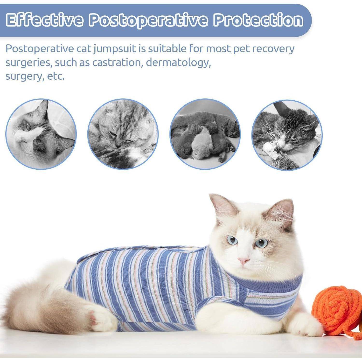 Eine weiße Katze trägt einen blau-gestreiften Genesungsanzug und liegt auf einer Oberfläche. Der Text hebt hervor, dass er zum Schutz nach einer Operation geeignet ist.