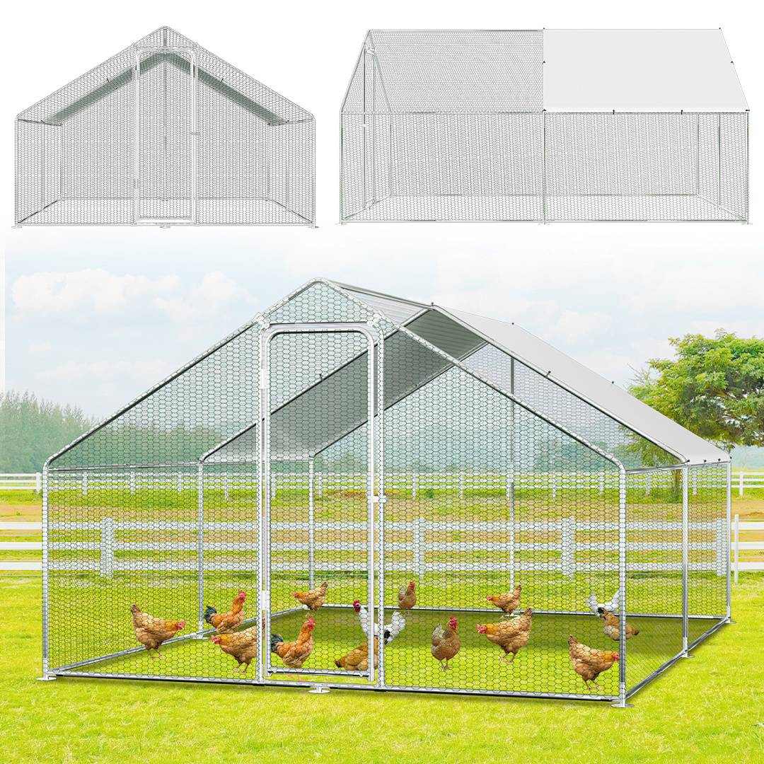 Hühnerstall-Freigehege mit einem Maschendachdraht und Maschenwänden, bevölkert von mehreren Hühnern in einem Grassland. Zwei eingesetzte Diagramme zeigen die Abmessungen des Stalls.