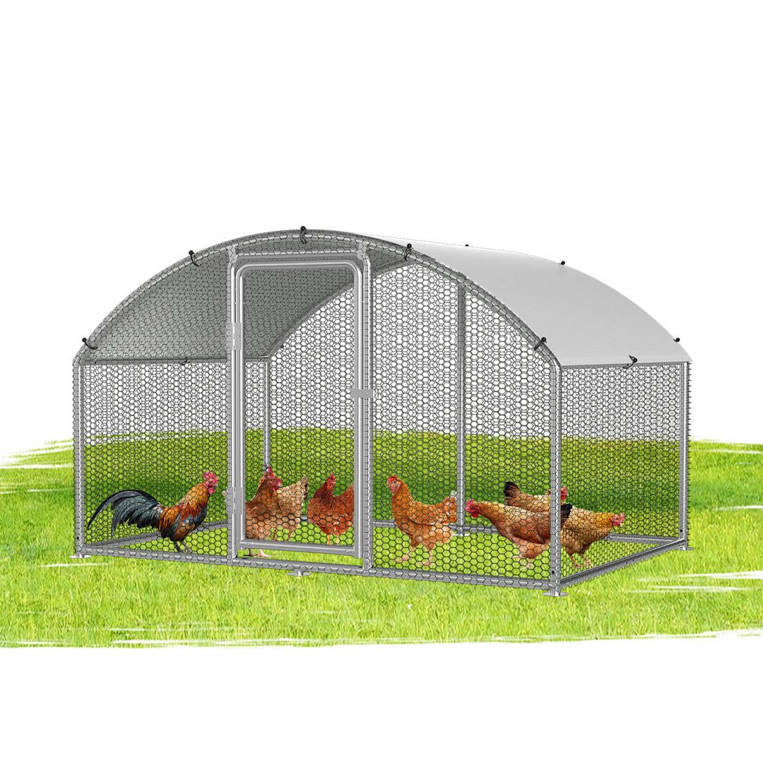 Ein Hühnerstall mit einem gebogenen Metallrahmen, Maschendrahtzaun und offener Tür, in dem mehrere Hühner und ein Hahn auf grünem Gras untergebracht sind.