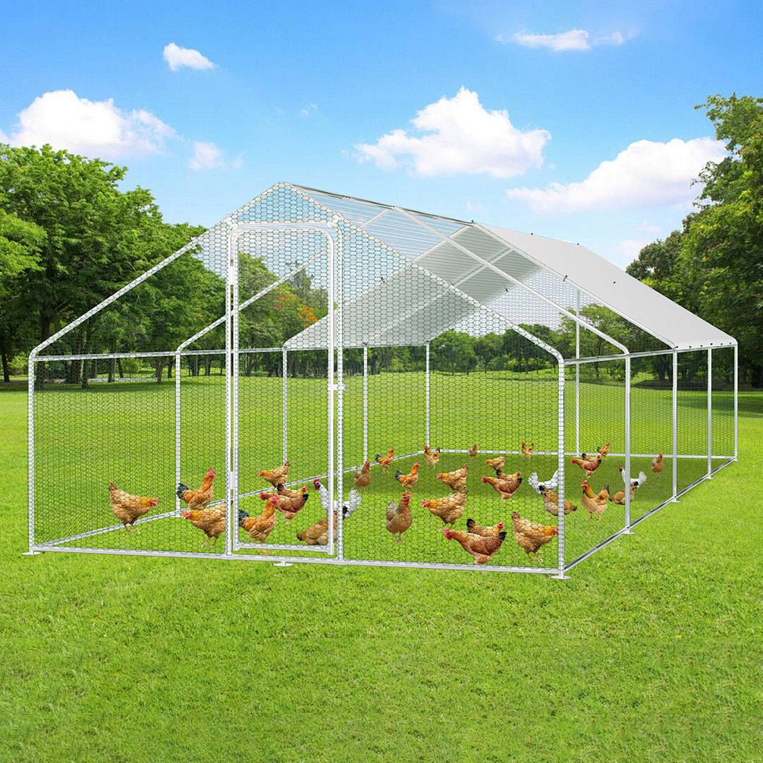 Ein Metallmaschendrahtgehege auf einem Grasbewachsenen Feld beherbergt mehrere Hühner. Die Konstruktion lässt Sonnenlicht herein und bietet den Vögeln eine geräumige Freilandfläche.