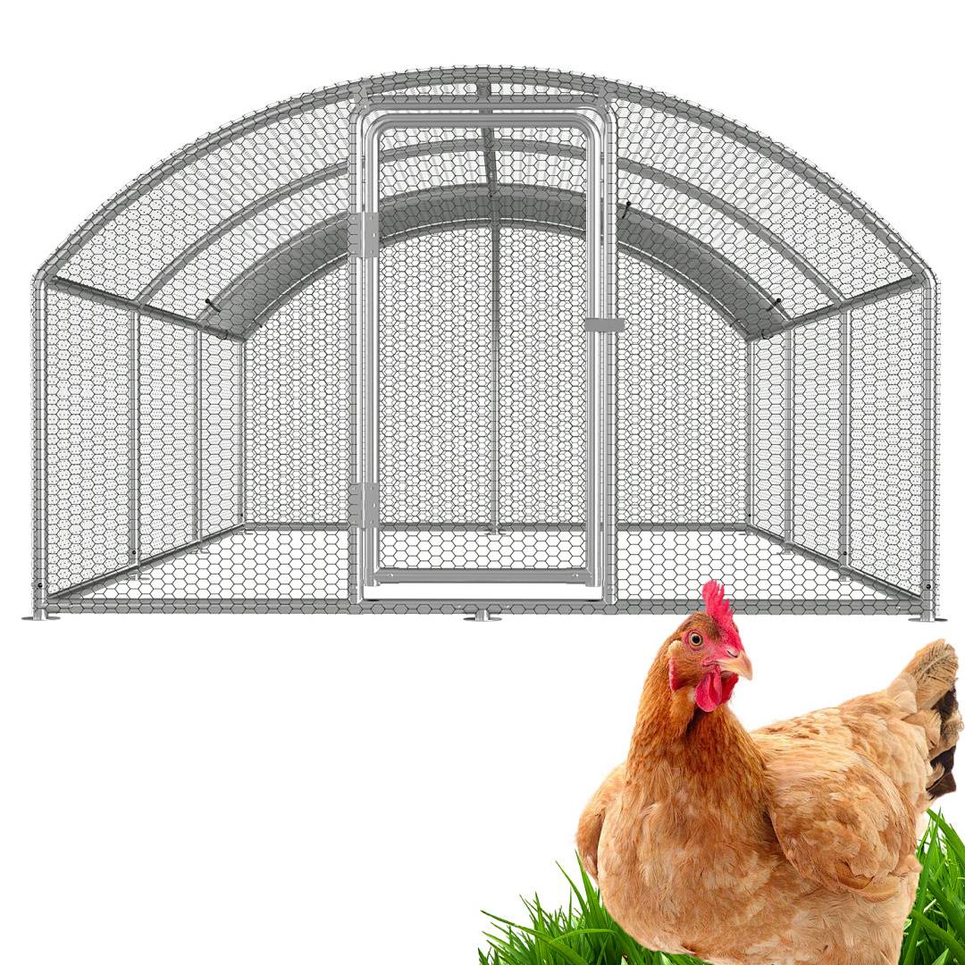 Ein großer Hühnerstall mit einem gebogenen Drahtdach und einer offenen Tür. Ein braunes Huhn steht auf grünem Gras im Vordergrund.