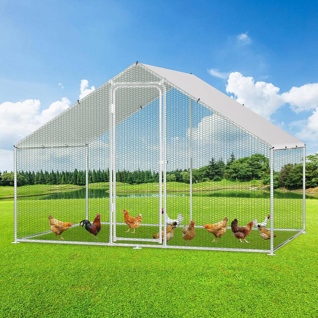 Hühner laufen in einem großen Maschendrahtkäfig auf grünem Gras unter einem blauen Himmel, umgeben von Bäumen und Feldern.