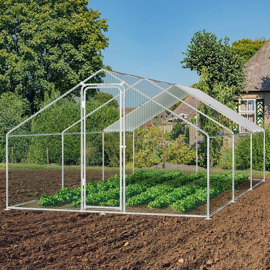 Transparentes Gartengewächshaus mit einer Tür, in einem Feld aufgestellt und mit Blattgemüse im Inneren bepflanzt, mit Bäumen und einem Haus im Hintergrund.