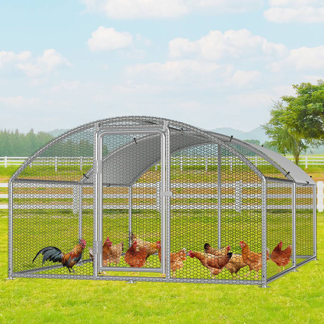 Ein Hühnerstall aus Metall mit einem gewölbten Dach steht in einem grasigen Feld und enthält mehrere Hühner und einen Hahn.