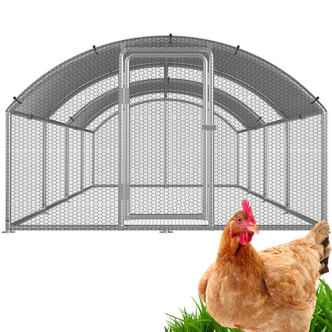 Ein großer, rechteckiger Drahtgeflügelhof mit einem gewölbten Dach steht im Hintergrund. Ein braunes Huhn pickt im Vordergrund den Boden.