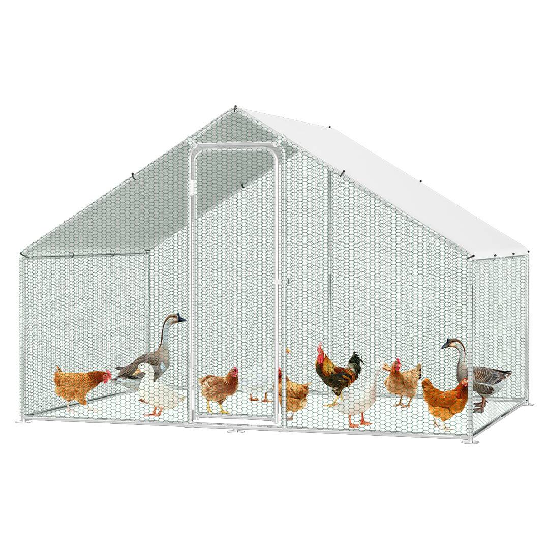 Hühnerstall mit Maschendrahtzaun, Metallrahmen und weißem Dach. Enten und Hühner im Inneren, Vordertor sichtbar.