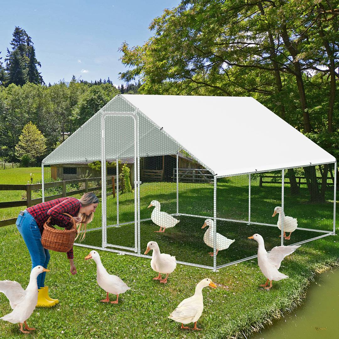 Eine Person in gelben Stiefeln füttert Enten in der Nähe eines großen weißüberdachten Gehäuses auf einer Wiese. Wald und ein Zaun befinden sich im Hintergrund.