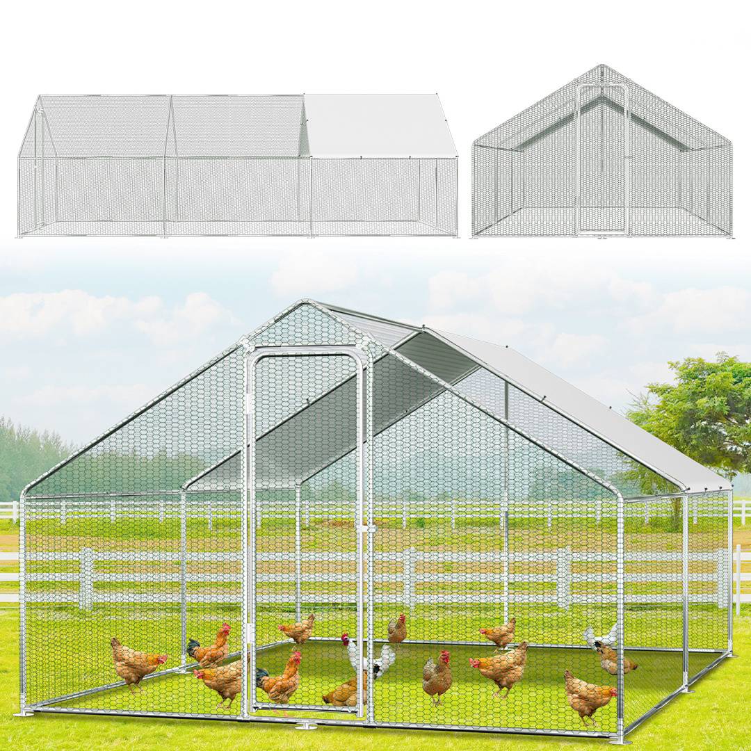 Hühnerstall mit mehreren Hühnern im Inneren; hergestellt aus Maschendraht mit spitzem Dach. Zwei kleinere Diagramme zeigen die Abmessungen des Stalls.
