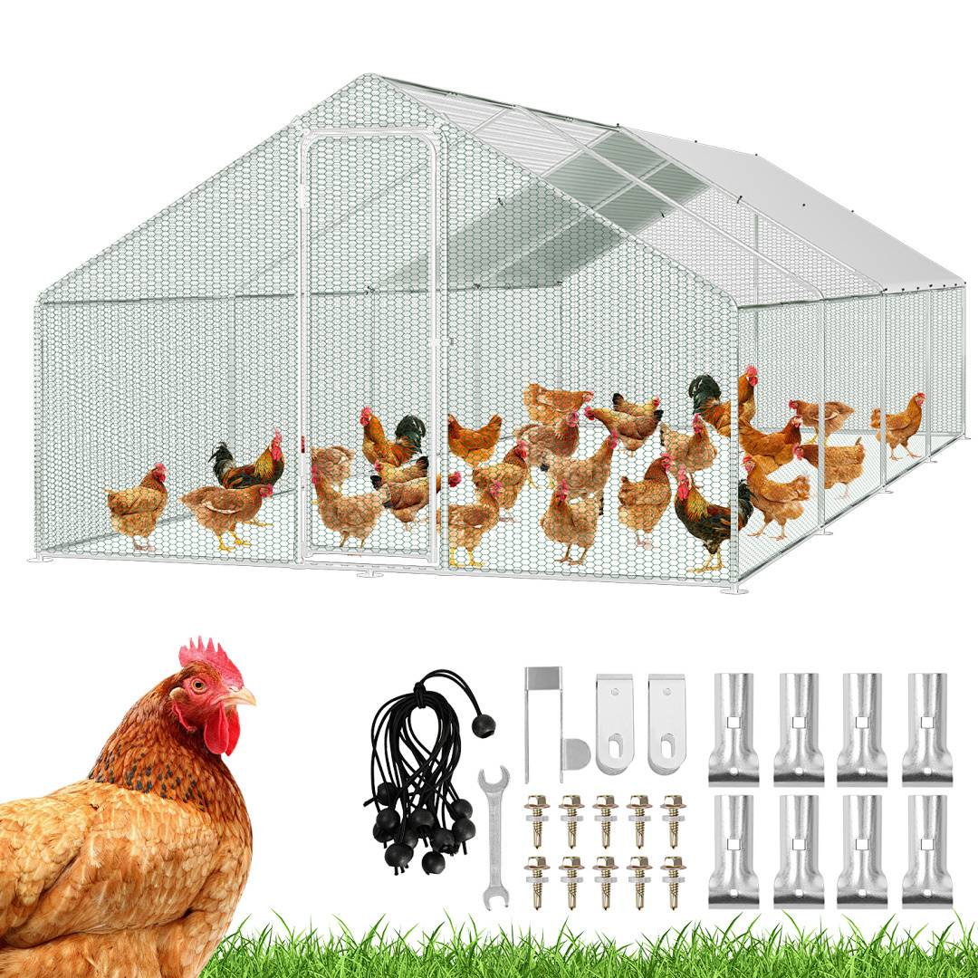 Ein großer Maschendraht-Hühnerstall, der mehrere Hühner beherbergt, steht auf Gras. Werkzeuge und Zubehörteile für den Zusammenbau, wie Schrauben und Bolzen, sind darunter ausgelegt.