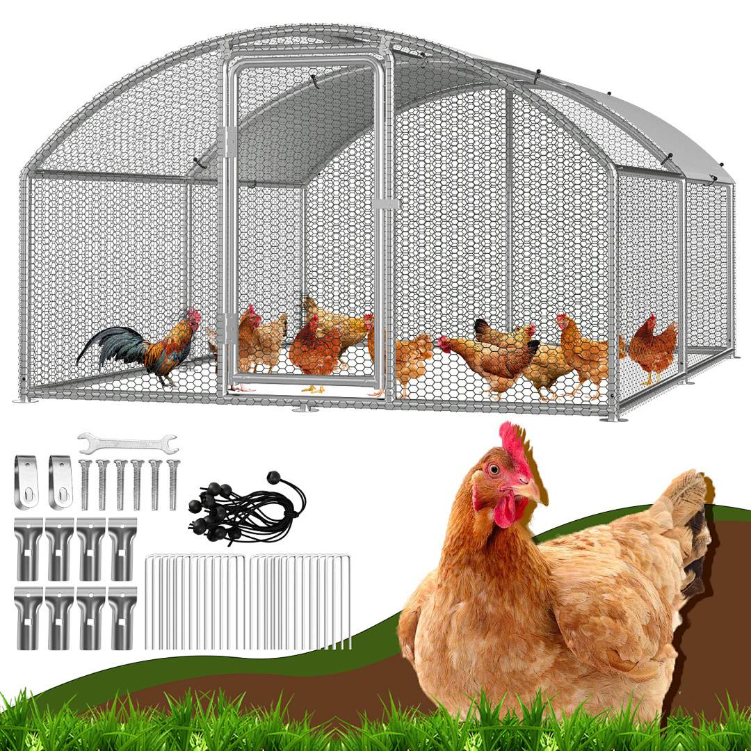 Hühnerstall-Bausatz mit Metallrahmen, Maschendraht, Werkzeugen und Zubehör. Mehrere Hühner im Inneren. Grassvordergrund, Hahn und Henne außerhalb.