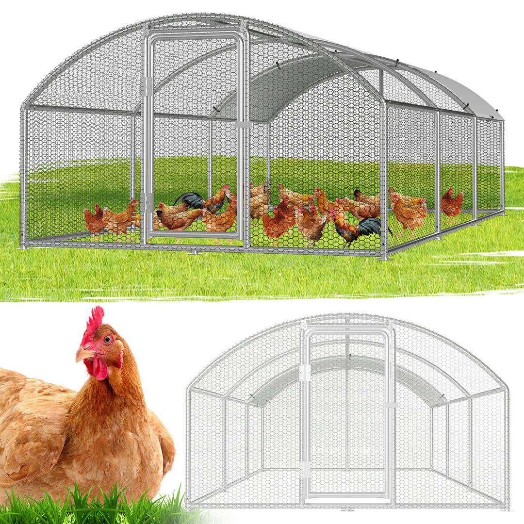 Ein großer Hühnerstall aus Maschendraht in einem Grasstreifen beherbergt mehrere Hühner. Darunter ist ein einzelnes Huhn neben einer Zeichnung des Hühnerstalls abgebildet.