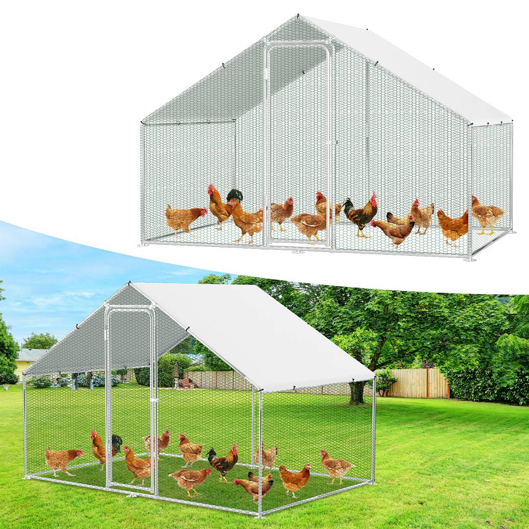 Hühner, die in einer geräumigen Freigehege-Struktur aus Metall und Maschen auf einem grasbedeckten Grundstück umherlaufen, mit einem Sonnenschutz an der Oberseite.
