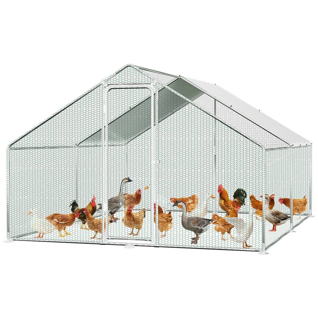 Ein Geflügel-Freigehege aus Drahtgeflecht mit Dach, das Hühner und Enten beherbergt und ihnen einen sicheren Raum bietet.