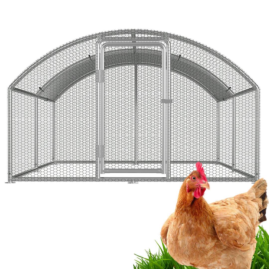 Ein Huhn steht in der Nähe eines Maschendrahtzauns mit einer sichtbaren Tür und betont damit den gesicherten Bereich für Geflügel.