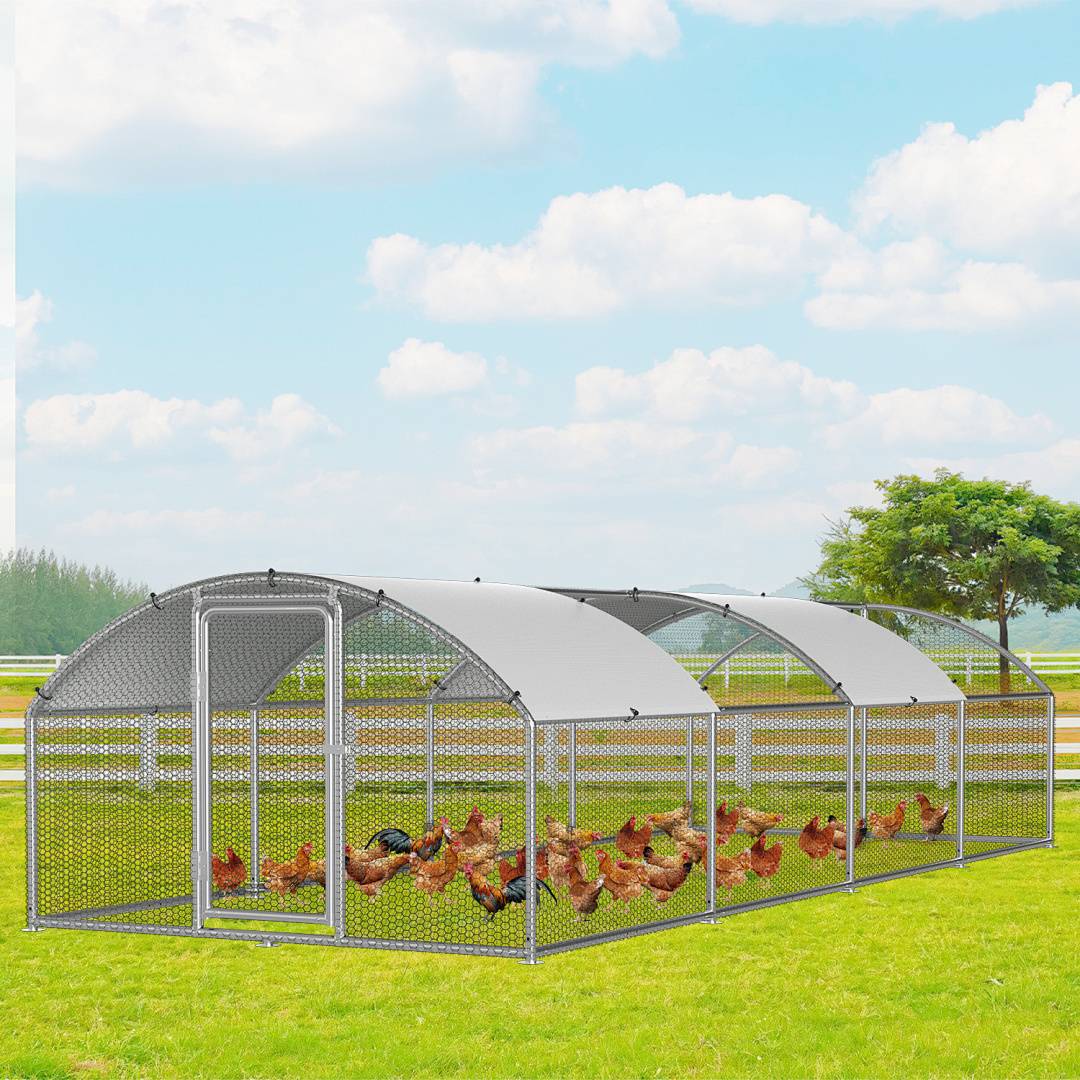 Eine Schar von Hühnern streift in einem großen, gewölbten Maschendraht-Hühnerstall auf einer grasbewachsenen Wiese unter einem blauen Himmel mit vereinzelten Wolken umher.