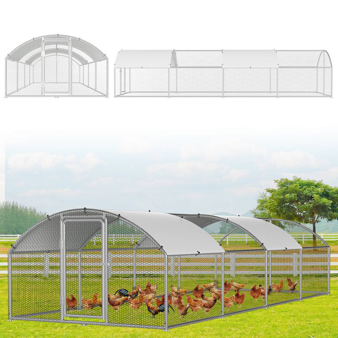 Ein großer, gewölbter Hühnerstall mit Maschendraht, der mehrere Hühner beherbergt, unter einem sonnigen Himmel mit Bäumen im Hintergrund.