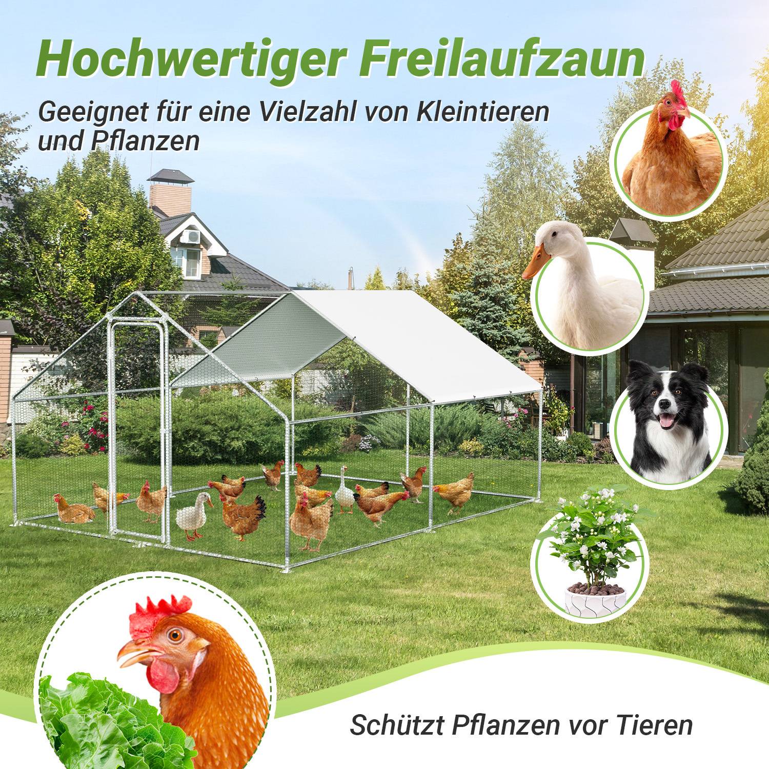 Hühnerstall im Freien mit einem weißen Dach in einem Garten, entwickelt zum Schutz verschiedener kleiner Tiere und Pflanzen. Mit Hühnern im Innenbereich.