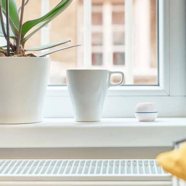 Eine Zimmerpflanze, eine weiße Tasse und ein kleiner runder Gegenstand auf dem Fenstersims. Sonnenlicht strömt durch das Fenster und schafft eine helle, gemütliche Atmosphäre.
