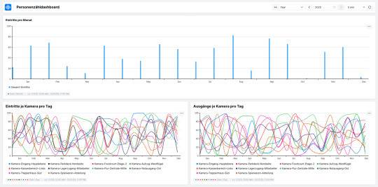 Anzeigen pro Kamera pro Tag' Dashboard mit zwei Grafiken: ein Balkendiagramm mit monatlichen Daten und ein Mehrlinien-Diagramm mit täglichen Kamera-Ausgaben.