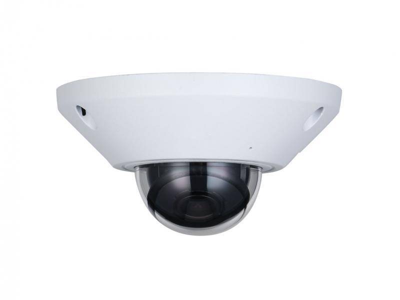 L-DG-5500-F,  5 MP | 1/2,7" CMOS Sensor  Fisheye-Objektiv | 180° (H)  Videoanalyse (IVS+)  12 V DC, PoE | IP67, IK1