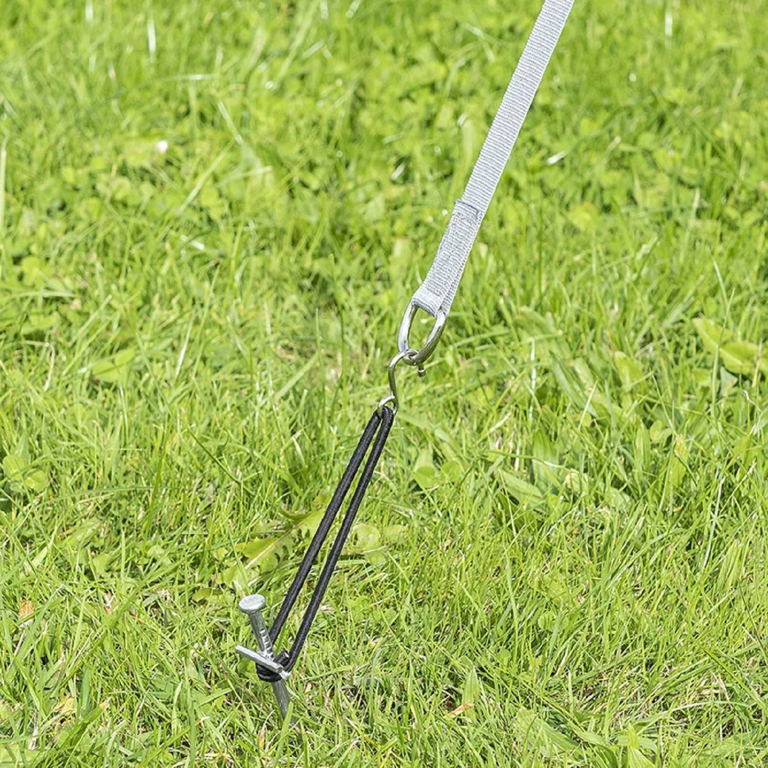 Ein Zeltheringe, der in grasbewachsenem Boden verankert ist, mit einer Schnur befestigt, die einen Gurt oder eine Leine am Boden sichert.