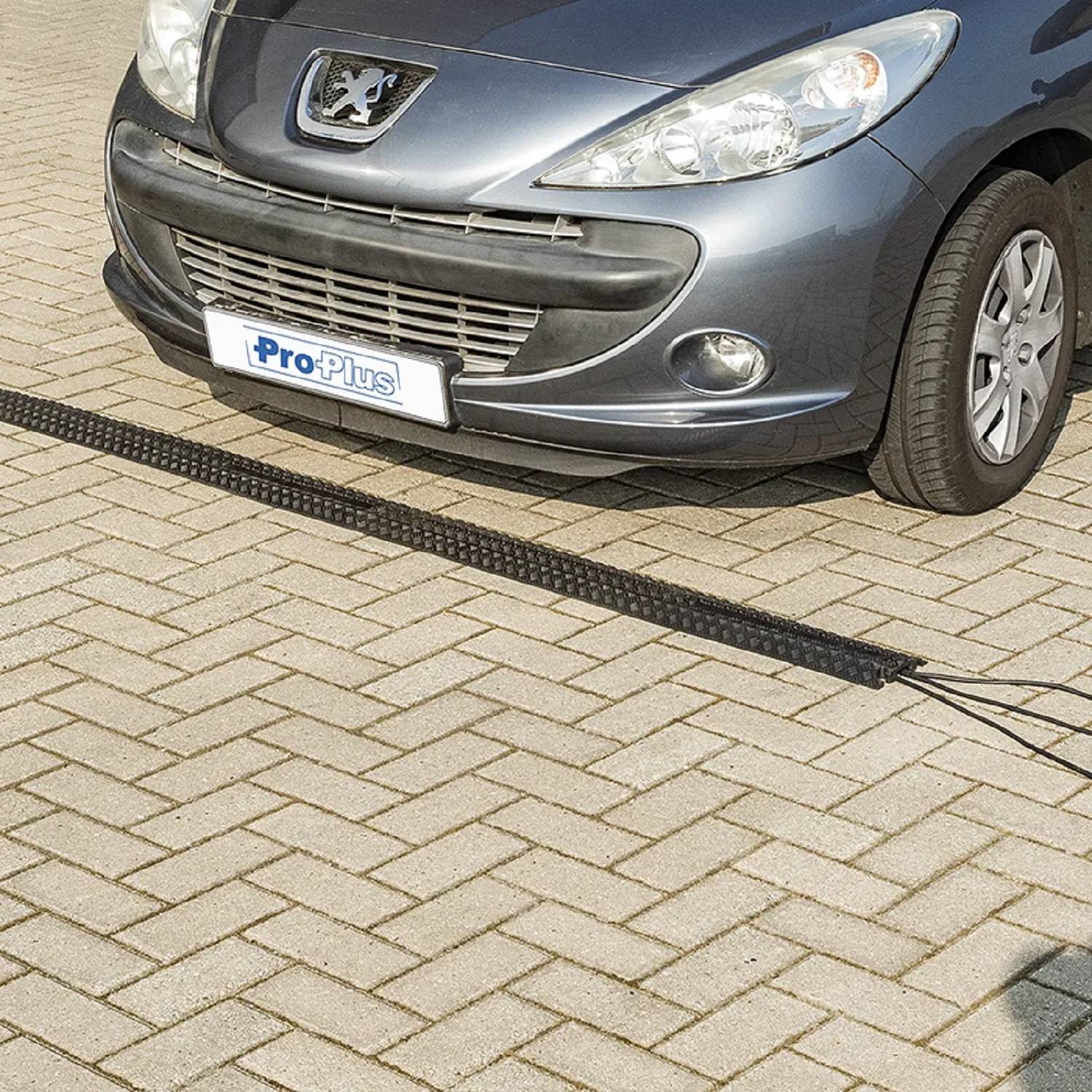 Ein grauer Wagen parkte auf einem beigen Ziegelpflaster mit einem 'ProPlus'-Kennzeichen auf der Frontstoßstange.
