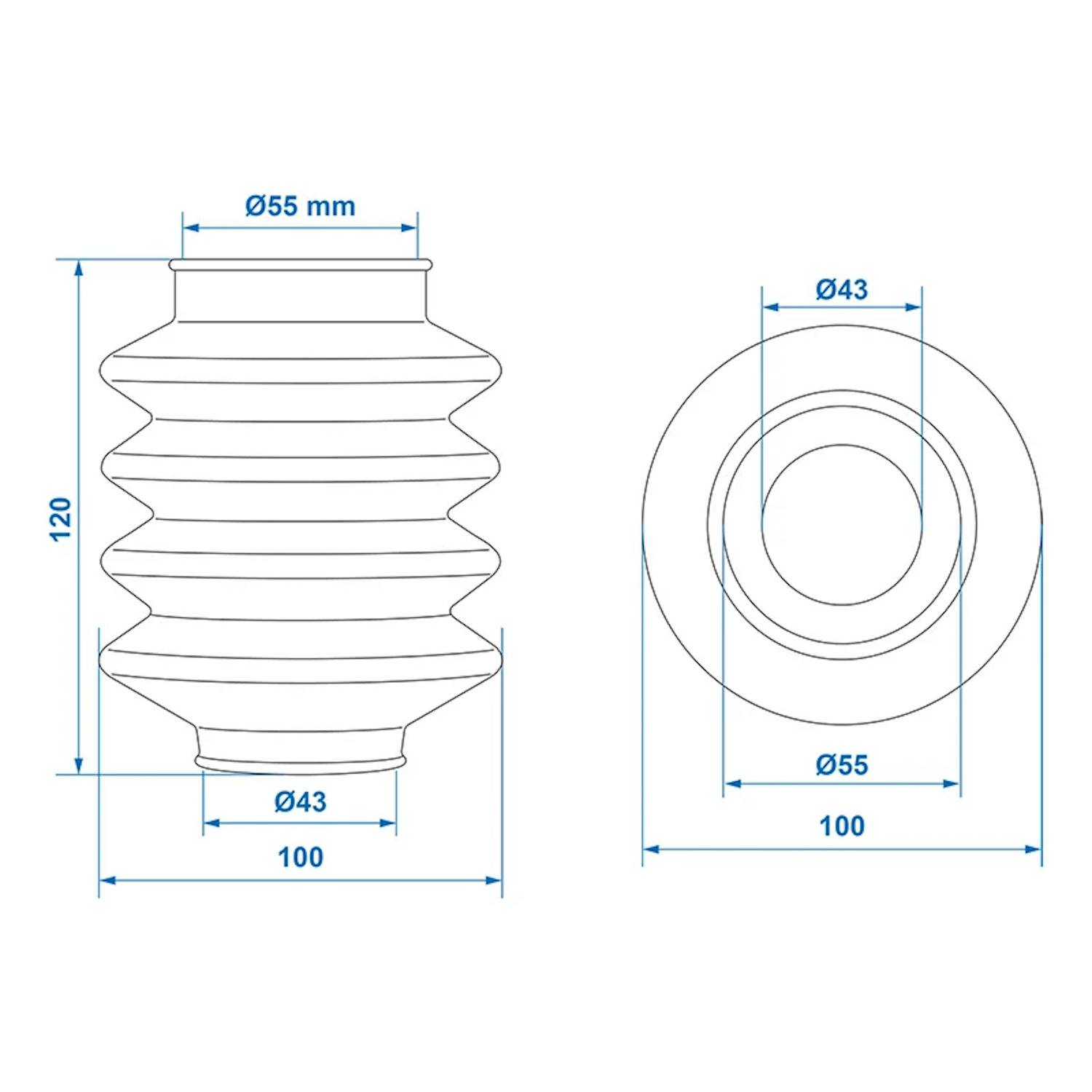 Technische Zeichnung einer Gewindebauteils mit Ansicht von oben und der Seite. Abmessungen: 120 mm Höhe, 55 mm Durchmesser, 43 mm Innendurchmesser.