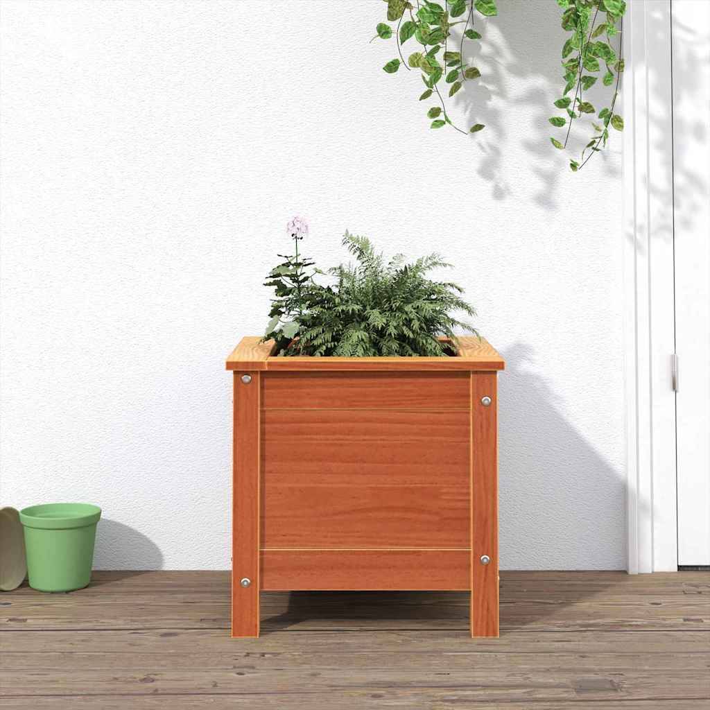 Ein hölzerner Pflanzkübel mit üppig grünen Farnen steht auf einer Holzterrasse, neben einer kleinen grünen Gießkanne. Hängende Pflanzen schmücken die weiße Wand darüber.