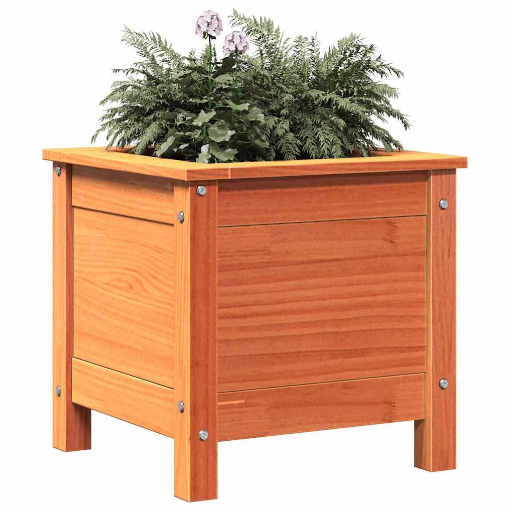 Holzpflanzkiste mit Farnen und Lavendel.