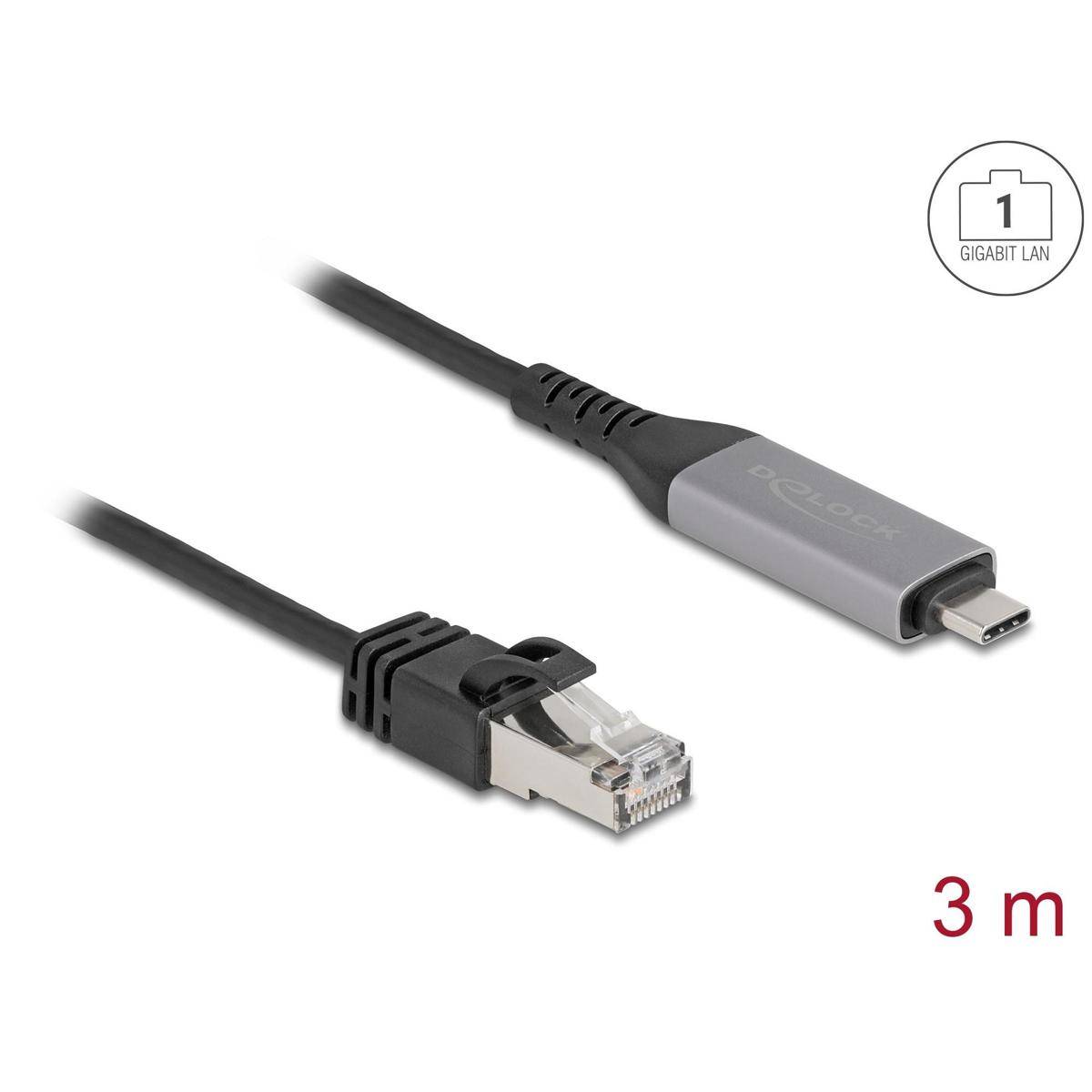 Delock USB LAN Kabel USB Type-C zu RJ45 Gigabit Ethernet 3 m