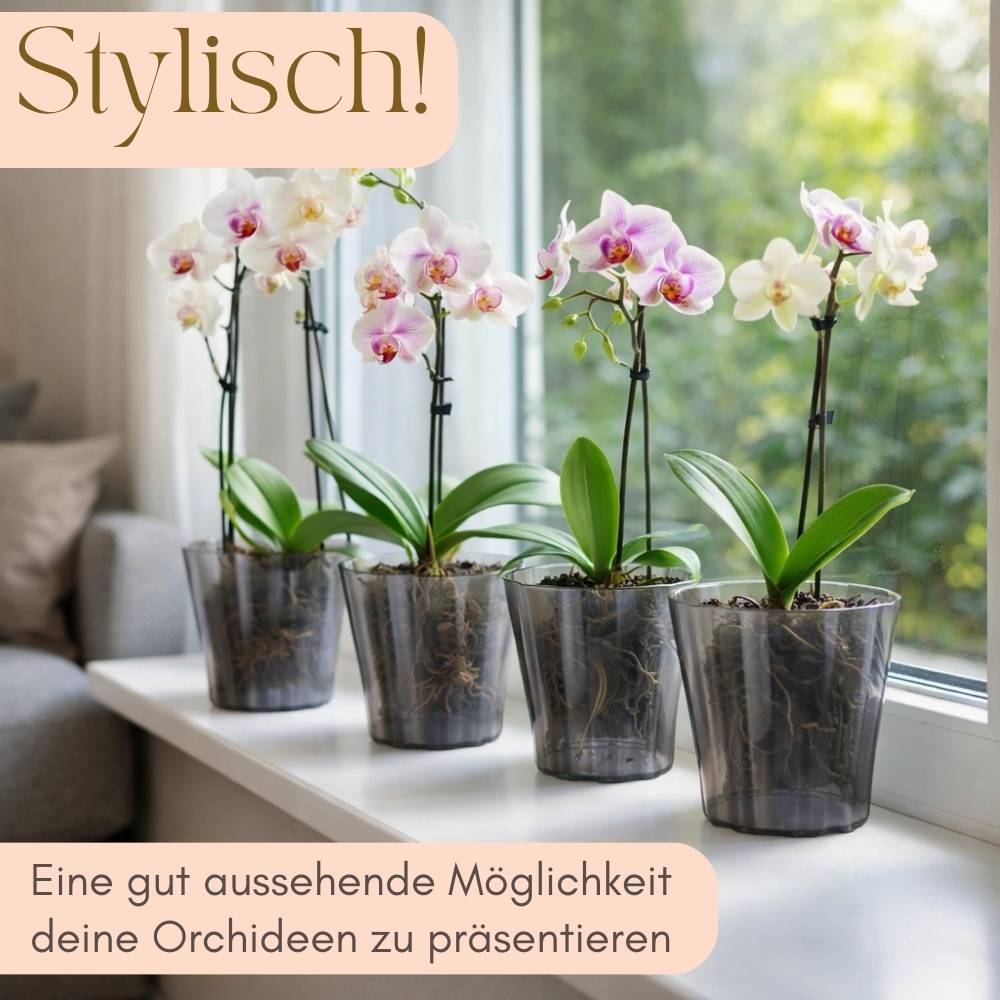 Orchideen in durchsichtigen Töpfen auf einem Fensterbrett mit Text: Stylisch! Eine gut aussehende Möglichkeit, deine Orchideen zu präsentieren.